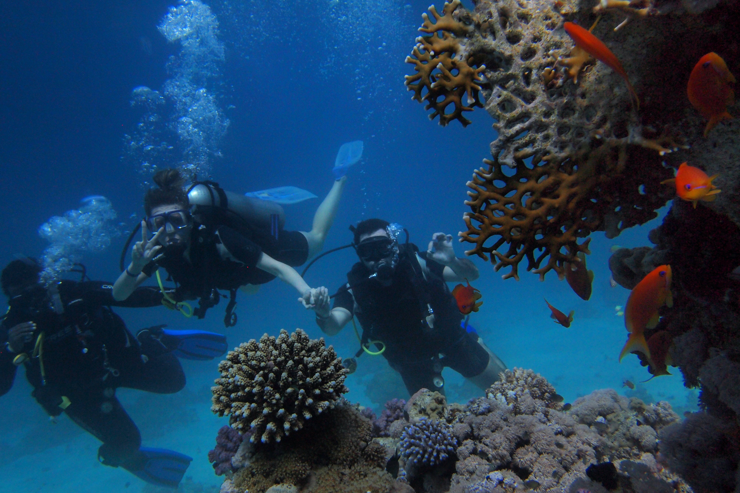 yucatan outdoors scubadivig